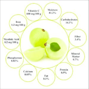 Nutritional values of Amla
